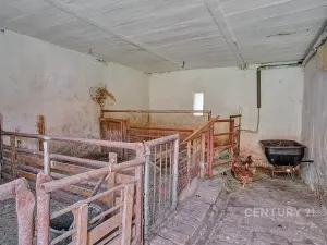 Prodej zemědělské usedlosti, Barchovice, 105 m2