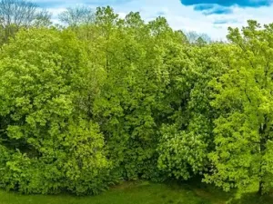 Prodej bytu 2+1, Pacov, Na Blatech, 54 m2