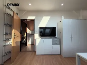 Pronájem bytu 1+kk, Praha - Dejvice, Koulova, 30 m2