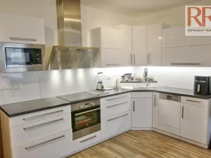 Pronájem bytu 1+kk, Plzeň, U Borských kasáren, 40 m2