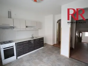 Pronájem obchodního prostoru, Plzeň, Mezi Ploty, 160 m2