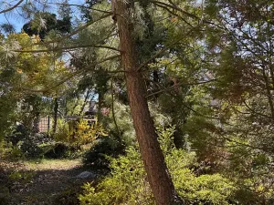 Prodej rodinného domu, Mnichovo Hradiště, Nad Skalou, 150 m2