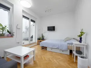 Pronájem bytu 1+1, Praha - Žižkov, Baranova, 49 m2