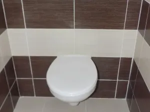 Pronájem bytu 3+kk, Hlučín, U Cihelny, 66 m2