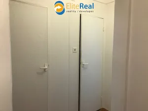 Pronájem bytu 1+1, Olomouc, Družební, 40 m2