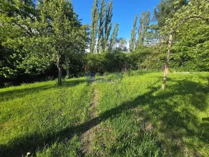 Pronájem zahrady, Dobřenice, 3673 m2