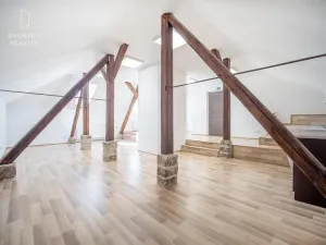 Prodej rodinného domu, Mladá Boleslav, Ptácká, 305 m2