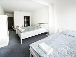 Prodej ubytování, Most, Pod Širokým vrchem, 312 m2