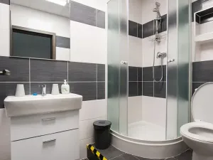 Prodej ubytování, Most, Pod Širokým vrchem, 312 m2
