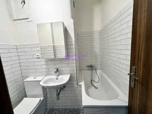 Pronájem bytu 1+kk, Olomouc - Hodolany, Zeyerova, 20 m2