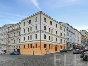 Pronájem bytu 1+kk, Praha - Žižkov, Milíčova, 29 m2