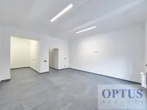 Pronájem obchodního prostoru, Praha - Josefov, Břehová, 54 m2