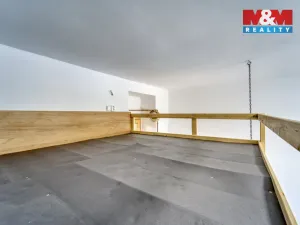 Prodej bytu 1+kk, Praha - Žižkov, V domově, 24 m2