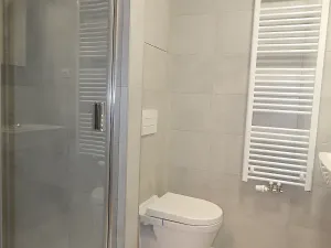 Pronájem bytu 1+kk, Brno, Střední, 38 m2