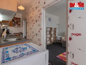Pronájem bytu 2+1, Cheb, Riegerova, 52 m2