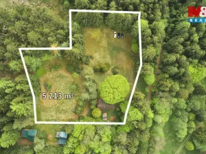 Prodej chalupy, Borová, 70 m2