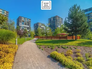 Pronájem bytu 2+kk, Praha - Žižkov, Pitterova, 45 m2