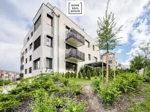 Pronájem bytu 2+kk, Praha - Žižkov, Rixdorfská, 50 m2