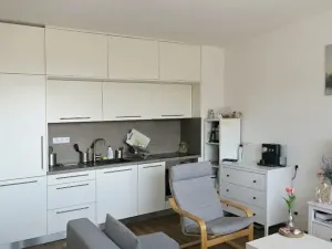 Pronájem bytu 2+kk, Brno, Rybářská, 39 m2