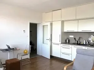 Pronájem bytu 2+kk, Brno, Rybářská, 39 m2