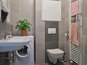 Pronájem bytu 2+kk, Brno, Rybářská, 39 m2