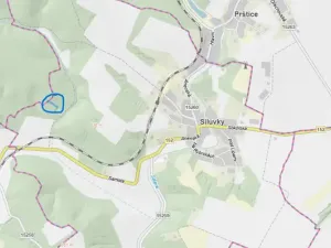 Prodej lesa, Silůvky, 1739 m2