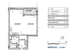 Pronájem bytu 1+kk, Praha - Vinohrady, Italská, 57 m2