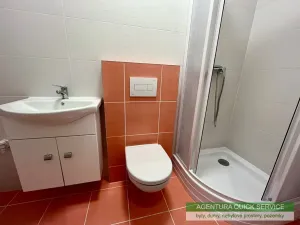 Pronájem bytu 1+1, Praha - Žižkov, Bořivojova, 47 m2