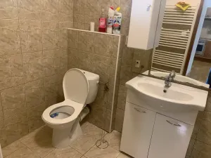 Pronájem bytu 1+1, Mirošov, 45 m2