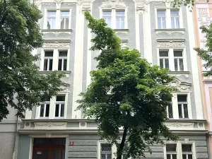 Pronájem bytu 2+kk, Praha - Vršovice, Tolstého, 56 m2