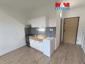 Pronájem bytu 1+1, Ústí nad Labem - Mojžíř, Peškova, 35 m2