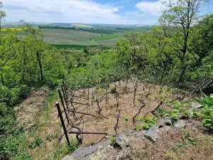 Prodej chaty, Viničné Šumice, 100 m2