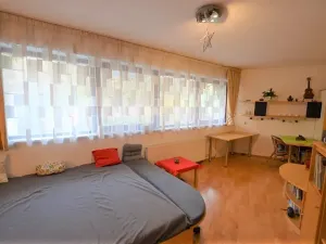 Pronájem bytu 1+kk, Praha - Podolí, Brabcova, 43 m2