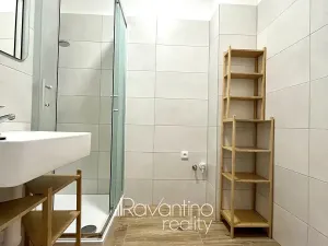 Pronájem bytu 1+1, Brno, bratří Čapků, 37 m2