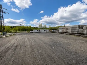 Prodej výrobních prostor, Rynholec, 8490 m2