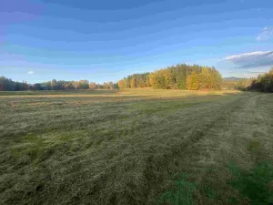 Prodej pole, Cvikov - Trávník, 7516 m2