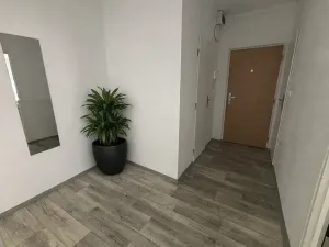 Pronájem bytu 2+1, Litvínov, Školní, 65 m2