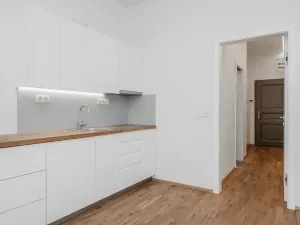 Pronájem bytu 1+1, Praha - Žižkov, Řehořova, 36 m2