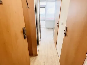 Pronájem bytu 1+1, Roudnice nad Labem, Alej 17. listopadu, 35 m2