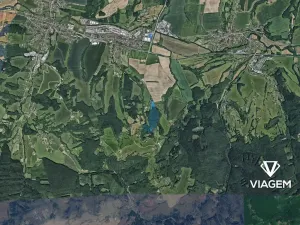 Prodej podílu lesa, Lípa, 2029 m2