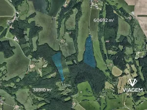 Prodej podílu lesa, Lípa, 1564 m2