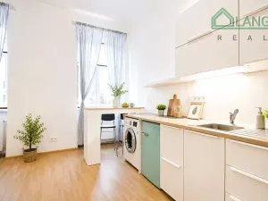 Pronájem bytu 1+kk, Brno, Koliště, 21 m2