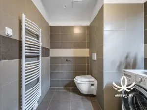 Pronájem bytu 1+kk, Mladá Boleslav, Laurinova, 35 m2