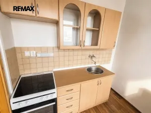 Pronájem bytu 1+kk, Most, U Věžových domů, 22 m2