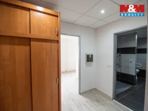 Pronájem bytu 1+kk, Hradec Králové, Sušilova, 32 m2