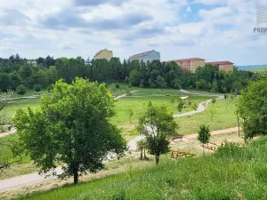 Prodej bytu 3+1, Brno, Horníkova, 74 m2