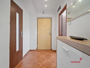 Prodej bytu 2+1, Pardubice - Zelené Předměstí, Wolkerova, 49 m2