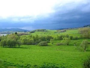 Prodej komerčního pozemku, Horní Planá, 3100 m2