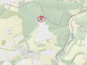 Prodej lesa, Sulice, 4719 m2