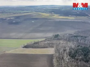 Prodej lesa, Bohuslavice, 11971 m2